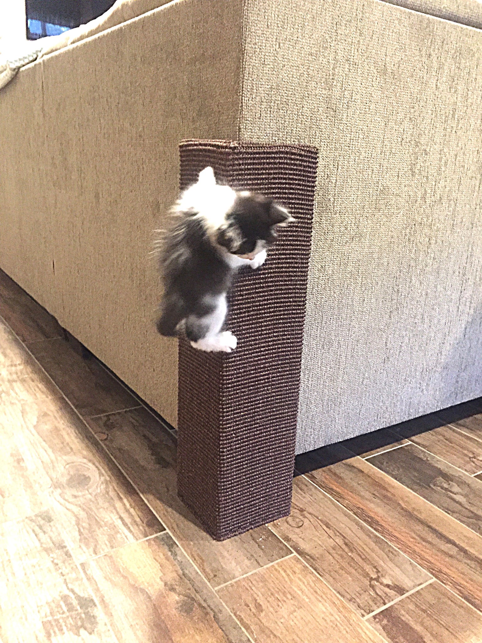 Corner Cat Scratcher Sofa-Scratcher- Cat Scratching Post Couch